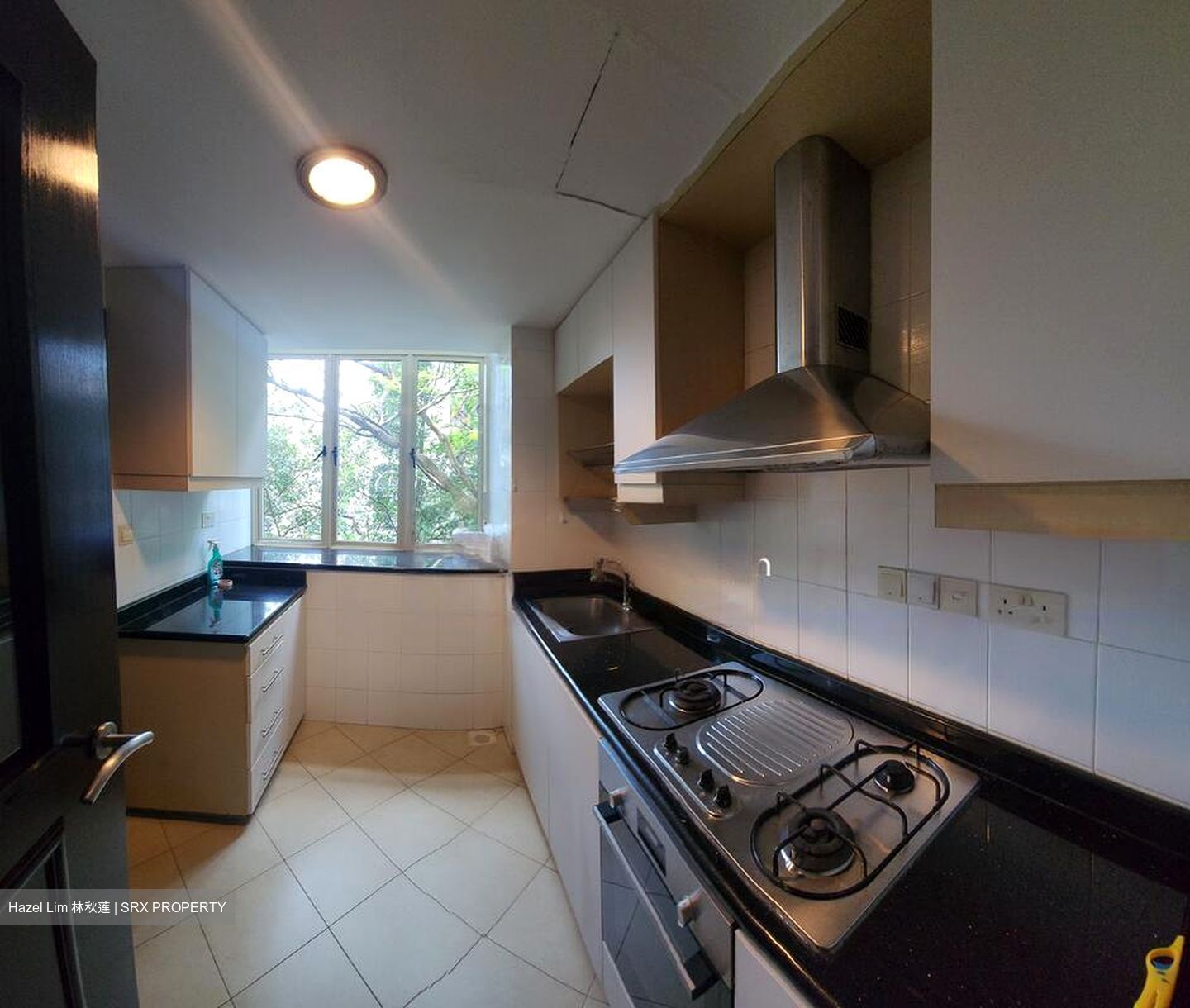 Jervois Regency (D10), Apartment #593836761